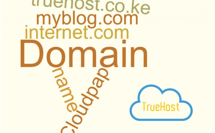 What is a domian name