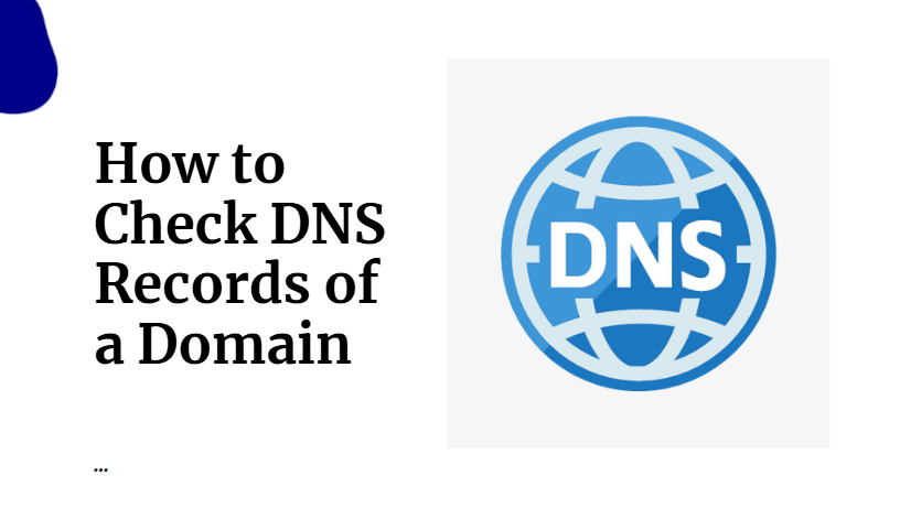 How to Check DNS Records of a Domain