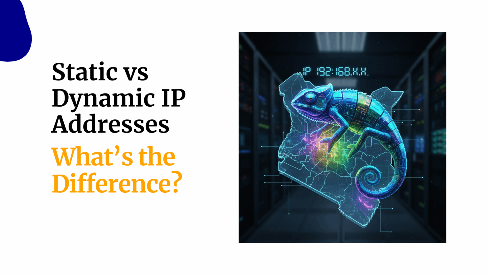 Static vs Dynamic IP Addresses Whats the Difference