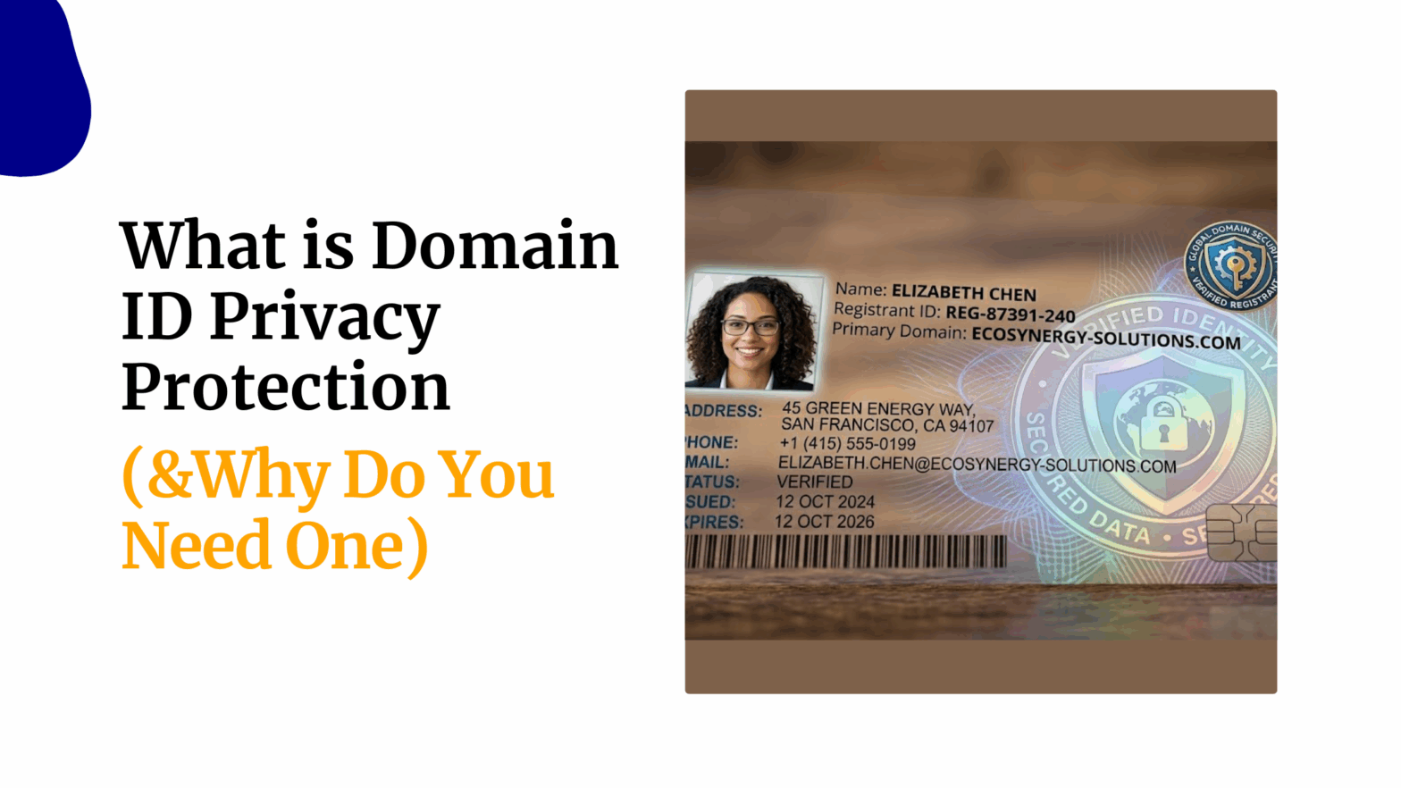 What is Domain ID Privacy Protection Why Do You Need One