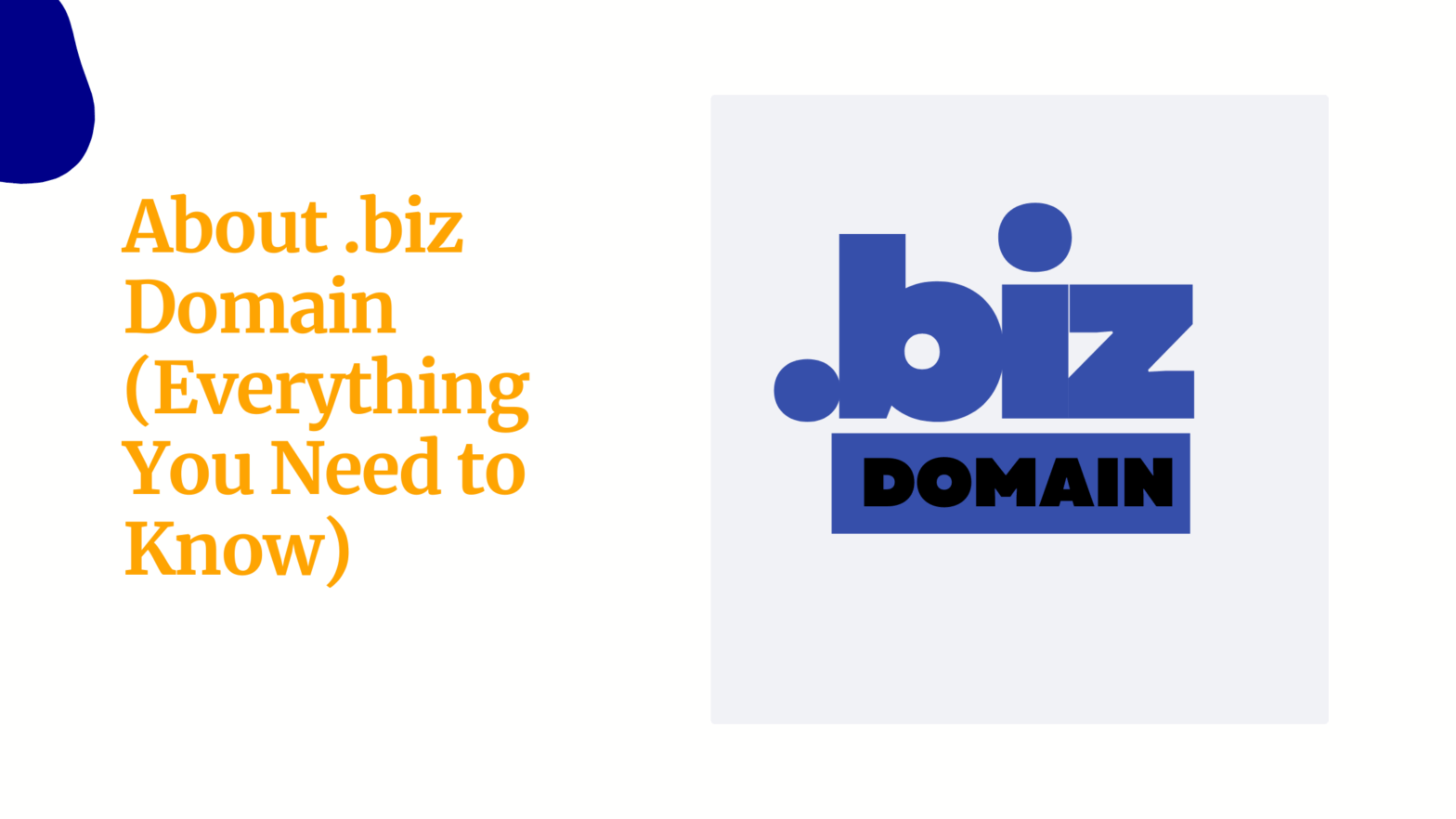About .biz Domain Everything You Need to Know