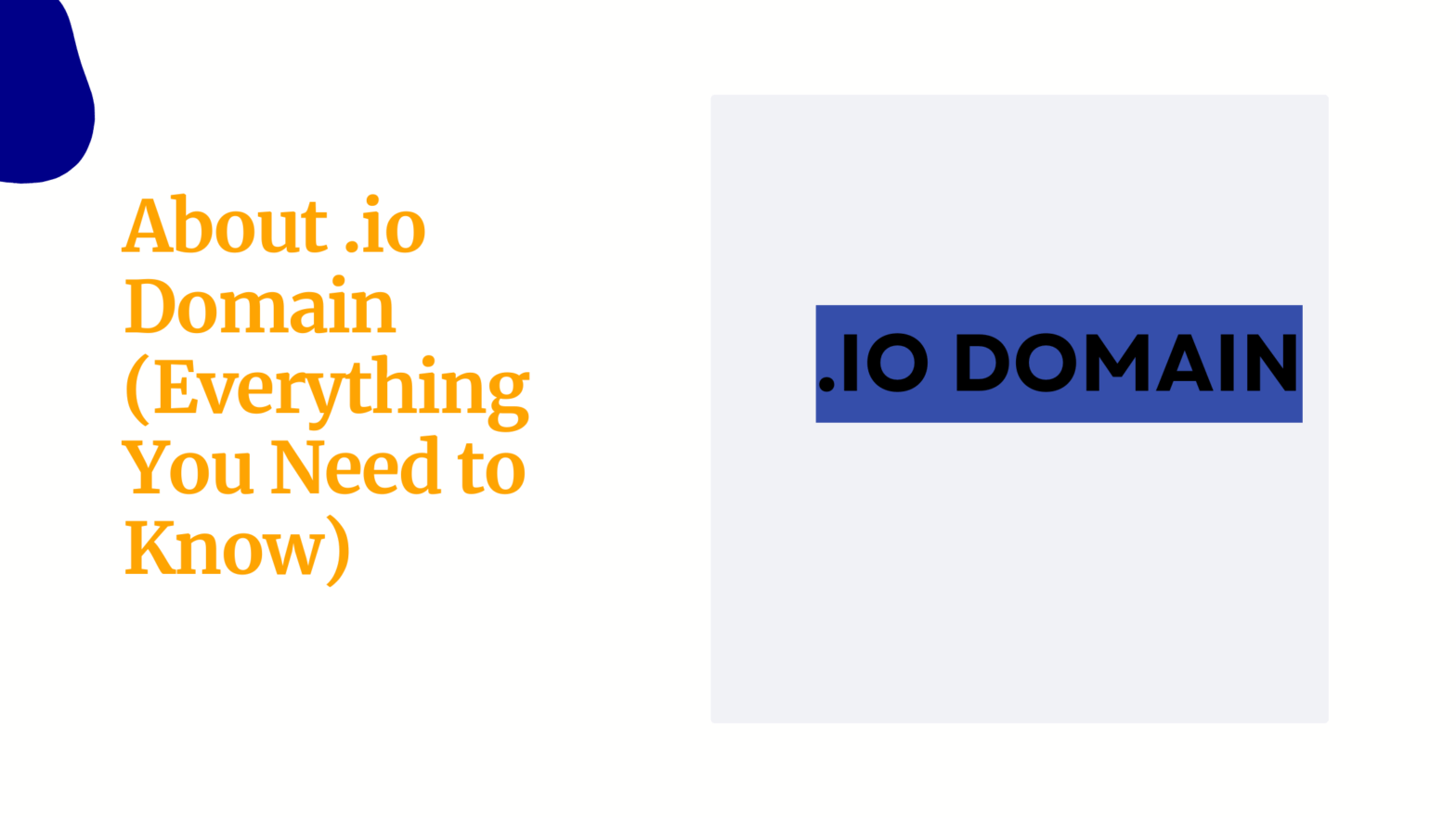 About .io Domain Everything You Need to Know