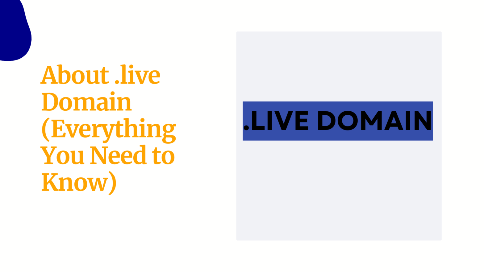 About .live Domain Everything You Need to Know