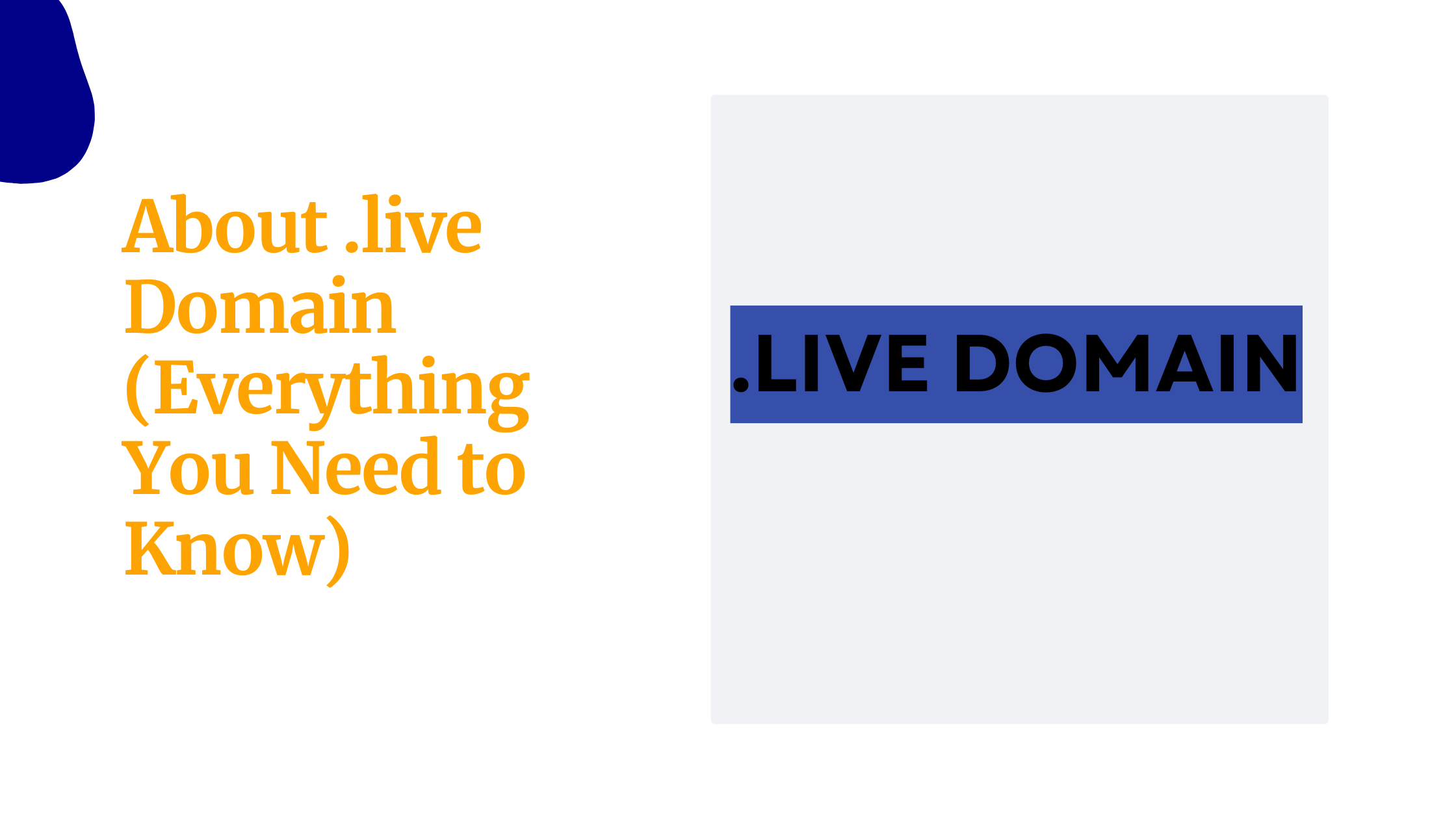 About .live Domain (Everything You Need to Know)