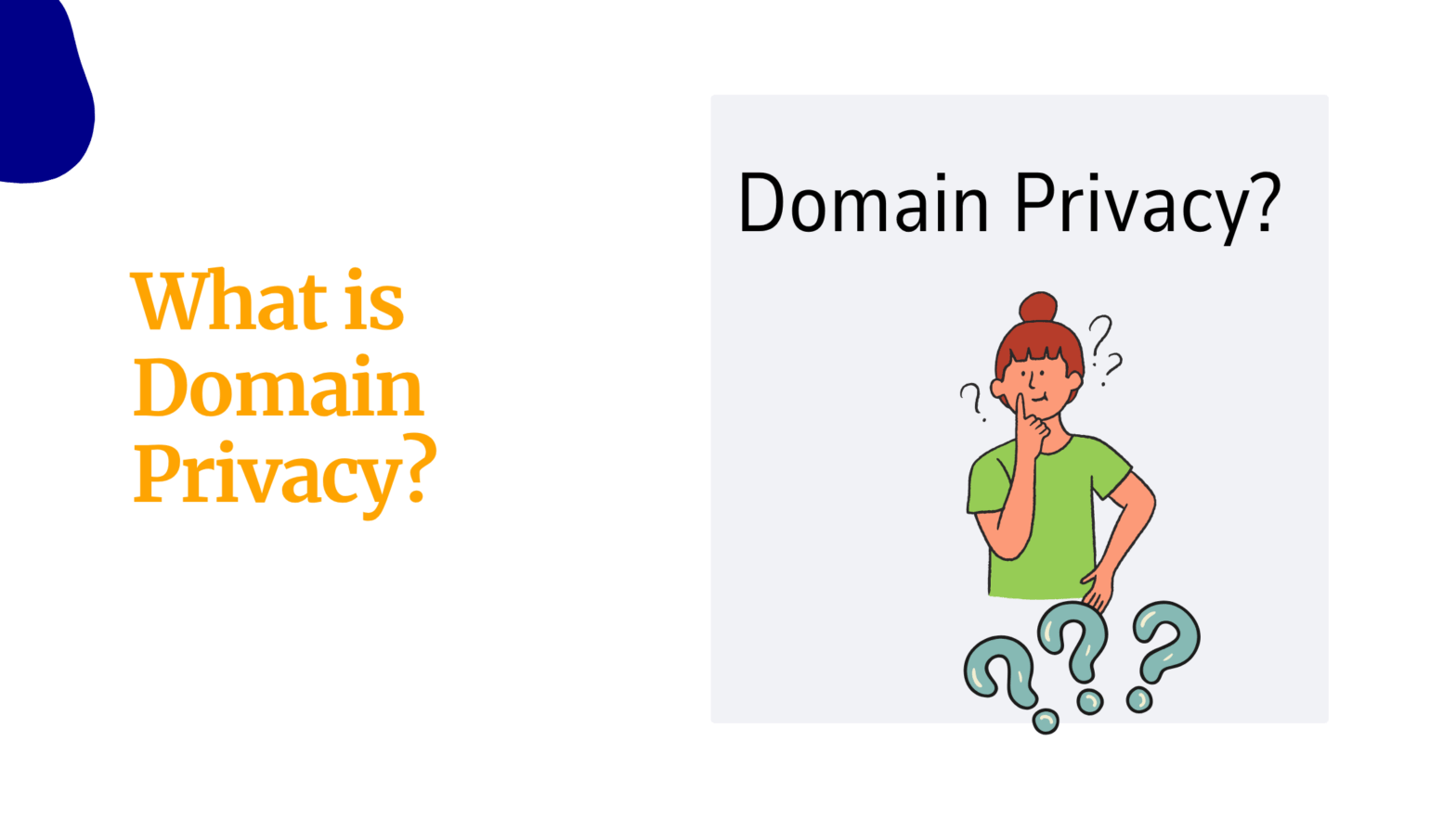 Domain Privacy